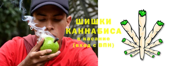 трава Каменка
